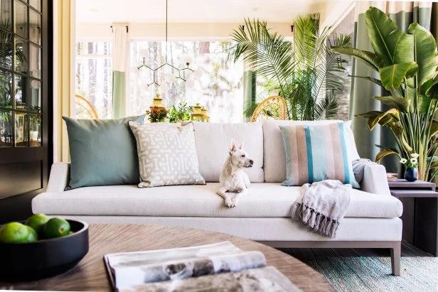 How to Eliminate Pet Odors Naturally (Without Harsh Chemicals)