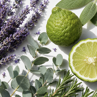 Lavender Sage